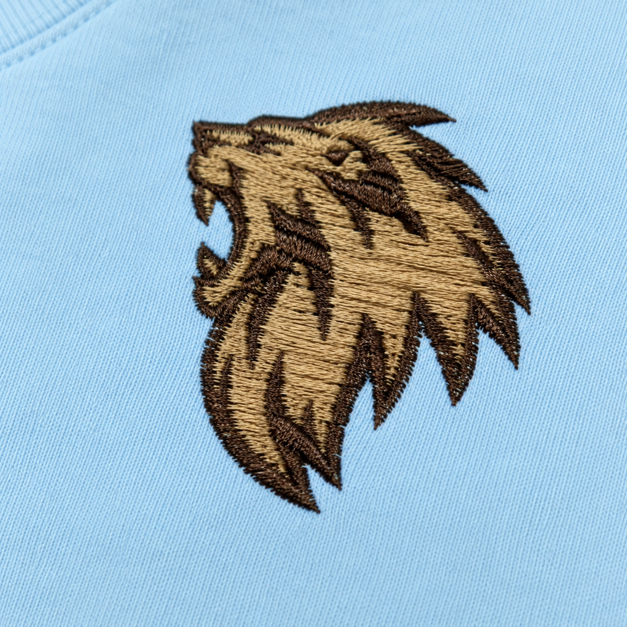 Lion of Judah Embroidered Sweatshirt — Sky Blue | Kingdom Wear UK